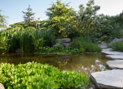 pataugeoire du jardin extraordinaire
